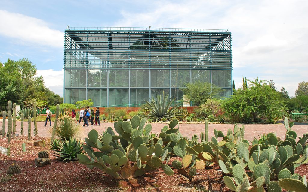 Parque Bicentenario